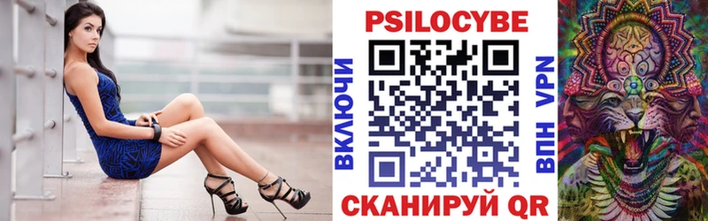 Псилоцибиновые грибы мицелий  Саранск 