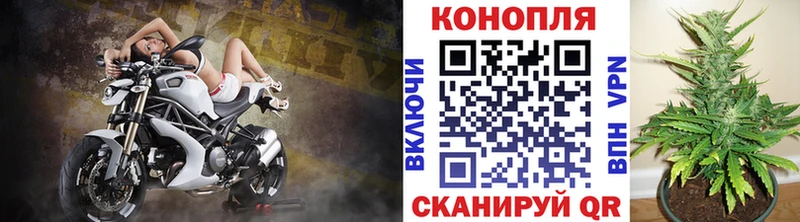 Конопля OG Kush  Саранск 